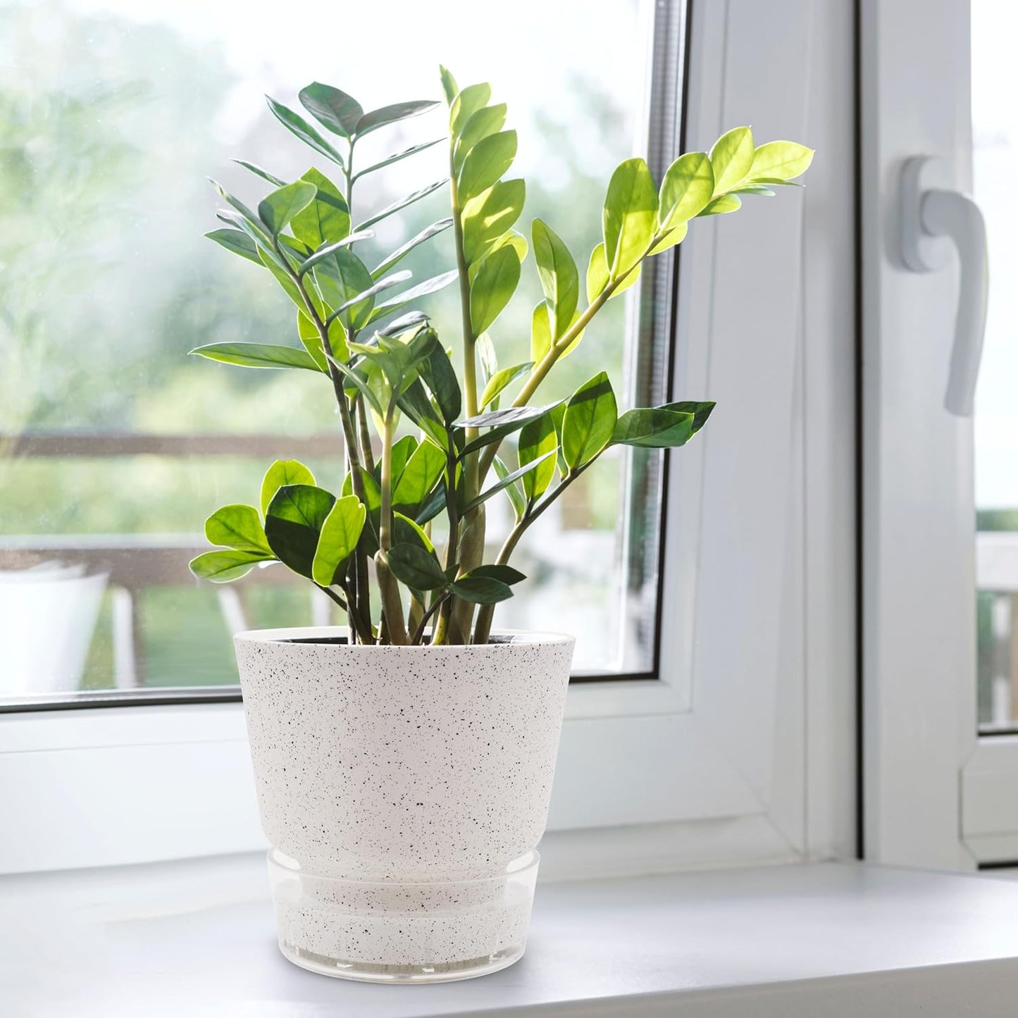 Self-Watering Planter