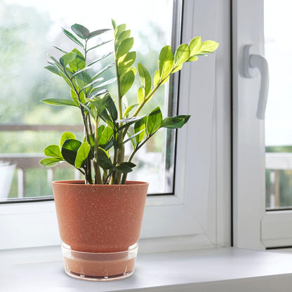 Self-Watering Planter