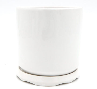 Indoor White Ceramic