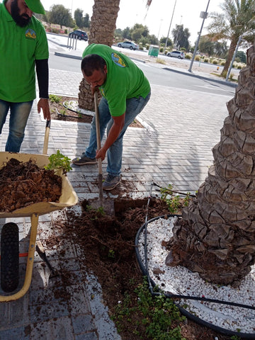 Garden Care at Al Dhafra Mall