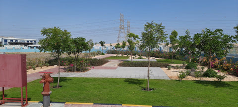 Factory Park Landscaping at Jebel Ali Free Zone